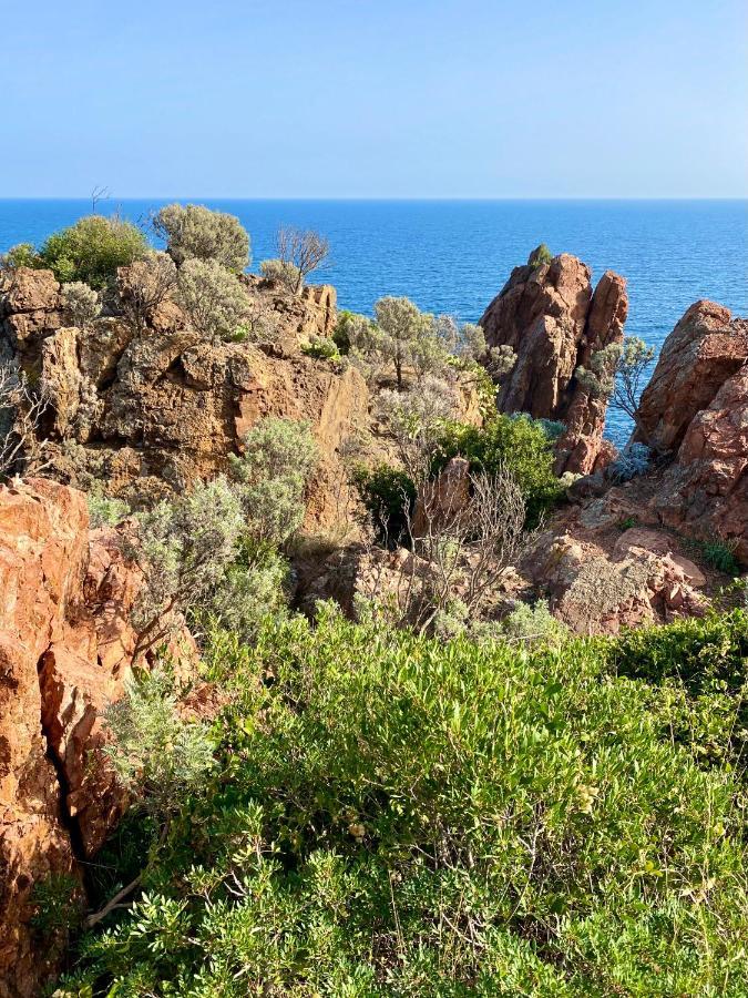 Port-Frejus, Le Consul, Appartement 2 Pieces Climatise, Terrasse & Parking Exterior foto